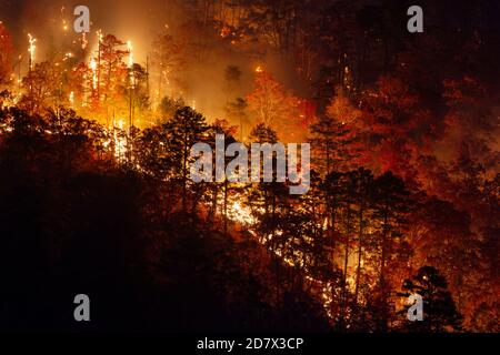 Wildfire su Three Sisters Mountain, Walland, Tennessee, nel novembre del 2016. Foto Stock