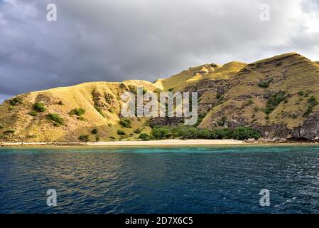 Preso il Parco Nazionale di @Komodo Foto Stock