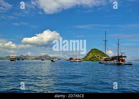 Preso @Labuan Bajo, Parco Nazionale di Komodo Foto Stock