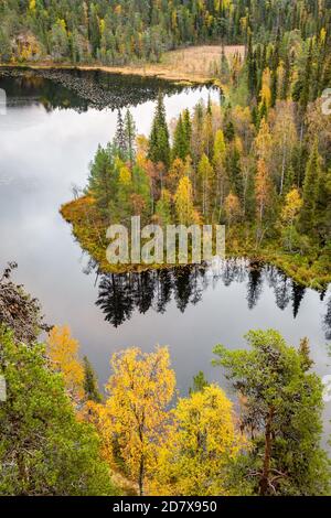 Parco Nazionale Repovesi foresta e paesaggio lacustre in Finlandia Foto Stock