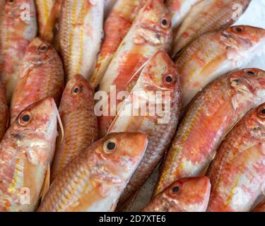 Triglie a strisce rosse sul ghiaccio al pesce market.Mediterranean ed è anche il miglior ingrediente della dieta. Foto Stock