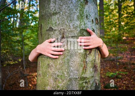Bambina stare dietro e dare abbraccio ad albero in foresta. Concetto di problema globale dell'anidride carbonica e del riscaldamento globale. Amore per la natura Foto Stock