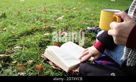 Una ragazza si siede su una coperta nella foresta autunnale, legge un libro e beve una bevanda calda da una tazza gialla in un parco cittadino in una giornata calda su un prato verde. T Foto Stock