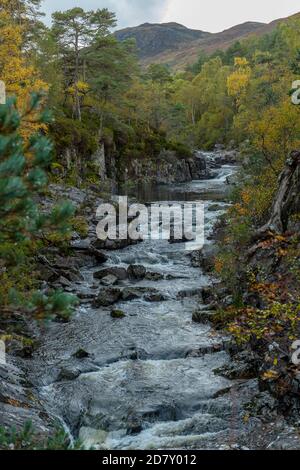 Il River Affric a Glen Affric, riserva naturale nazionale e riserva forestale caledoniana, in autunno; Highland, Scozia. Foto Stock