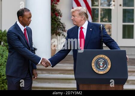 Il presidente degli Stati Uniti Donald Trump scuote le mani con il golfista Tiger Woods prima di presentare Woods con la medaglia presidenziale della libertà nel Rose Garden della Casa Bianca a Washington, D.C. lunedì 6 maggio 2019. La medaglia presidenziale della libertà è l'onore più alto che un presidente degli Stati Uniti può conferire a un civile. Credit: Alex Edelman/The Photo Access Foto Stock