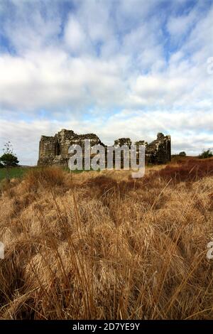 Loch Doon Castle, Dumfries & Galloway Scotland, Regno Unito. Il castello di Loch Doon fu costruito dai conti Bruce di Carrick alla fine del 1200s. Potrebbe essere stato costruito da Robert the Bruce stesso, ma è più probabile che sia stato costruito da suo padre, chiamato anche Robert. La maggior parte del castello fu attentamente smantellato, pietra per pietra, e il cazzare vestito ricostruito sulla terraferma nel 1935. Ciò è stato fatto per preservare la sua parete di tenda fine ed inusuale dai livelli crescenti dell'acqua causati dallo schema idroelettrico. Foto Stock