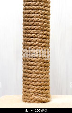 Сat albero e mobili, corda di sisal gatto graffiare palo su tappeto beige su sfondo bianco Foto Stock