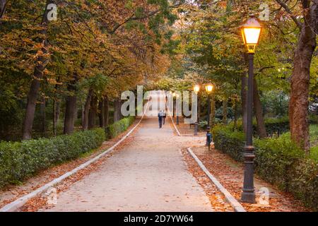 Giovane uomo visto da dietro a piedi lungo un sentiero nel Parco Retiro a Madrid in autunno sotto alberi marroni e verdi e lampade illuminate. Foto Stock