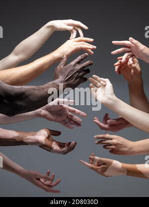 Umanità. Mani di persone diverse in contatto isolate su sfondo grigio studio. Concetto di relazione, diversità, inclusione, comunità, togetherness. Tocco senza peso, creando un'unità. Foto Stock