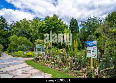 Giardino Botanico di Erlangen, Baviera, Germania Foto Stock