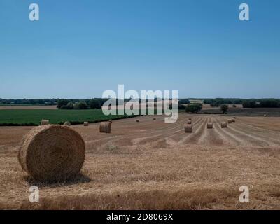 Campo di balle di fieno circolari nella Francia rurale Foto Stock