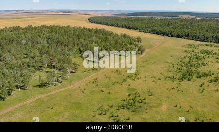 Boschetto di betulla e fitte foreste circondano prati verdi che coprono colline e campi sotto il cielo blu in estate, vista aerea. Panorama della foresta giovane dal dr Foto Stock