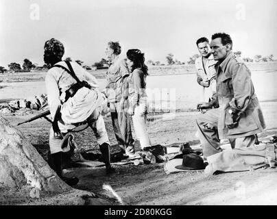 Le radici del cielo anno : 1958 USA Direttore : John Huston Friedrich von Ledebur, Juliette Greco, Errol Flynn, Trevor Howard Foto Stock