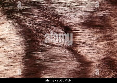 Camice tinto di colore marrone o rosso, primo piano. Pelliccia artificiale per texture o sfondo. Abiti morbidi di lusso ed eleganti. Concetto di moda eco-compatibile. Foto Stock