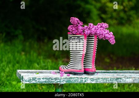 Stivali in gomma con bouquet di fiori Lilac. Concetto creativo. Foto Stock