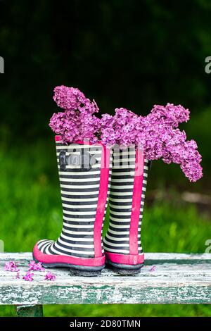 Stivali in gomma con bouquet di fiori Lilac. Concetto creativo. Foto Stock