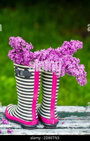 Stivali in gomma con bouquet di fiori Lilac. Concetto creativo. Foto Stock