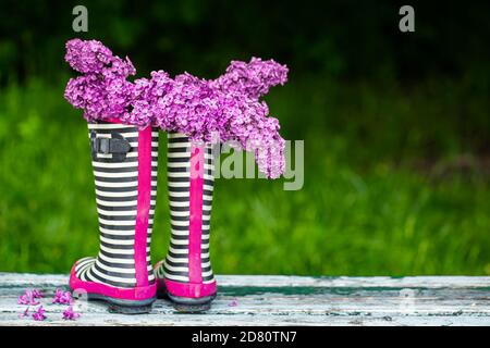 Stivali in gomma con bouquet di fiori Lilac. Concetto creativo. Foto Stock