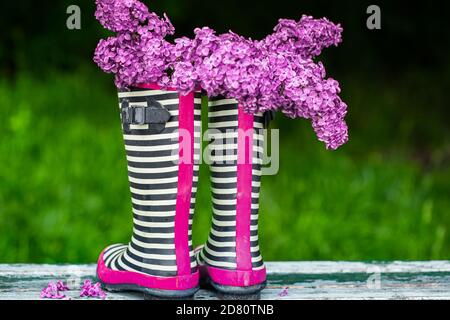 Stivali in gomma con bouquet di fiori Lilac. Concetto creativo. Foto Stock