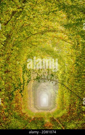 Ferrovia a binario unico attraverso la foresta autunnale. Stilizzato come un dipinto ad olio Foto Stock