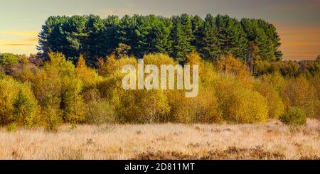 Scena autunnale nel parco Sutton con 3 strati di colore Con un bel cielo al tramonto che mostra tutta la bellezza dell'autunno Foto Stock