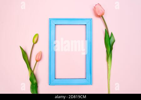 Composizione di fiori. tulip fiori blu con photo frame su sfondo rosa. Appartamento laico, vista dall'alto, spazio di copia Foto Stock