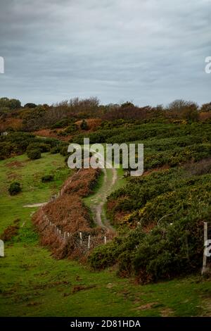 Un percorso che si snoda attraverso i campi a Fairlight Glen, vicino a Hastings, Sussex orientale Foto Stock