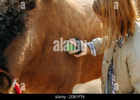 Primo piano immagine di una piccola zenzero ragazza pulisce il suo cavallo con un pennello. Primo piano. Foto Stock