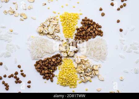 porridge a grani multipli, riso di farina d'avena e grano saraceno su fondo bianco, fiocco di neve da grani, fiore da cereali Foto Stock