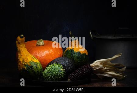 Composizione autunnale con diversi tipi di zucche un mais nero sulla pannocchia e una pentola. Fotografia di cibo scuro e tecnica di pittura chiara Foto Stock