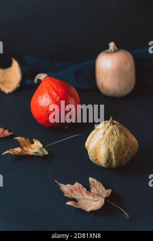 Tre zucche verdi, arancioni e gialle e foglie cadute su sfondo nero. Ciao autunno concetto. Ringraziamento, caduta, autunno. Messa a fuoco selettiva Foto Stock