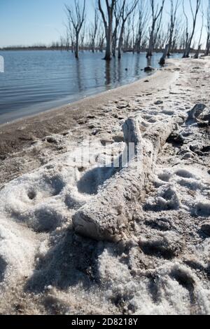 Soudium solfato come fenomeno naturale in Efecuen, provincia di Buenos Aires, Argentina Foto Stock
