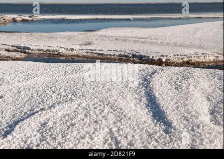 Soudium solfato come fenomeno naturale in Efecuen, provincia di Buenos Aires, Argentina Foto Stock