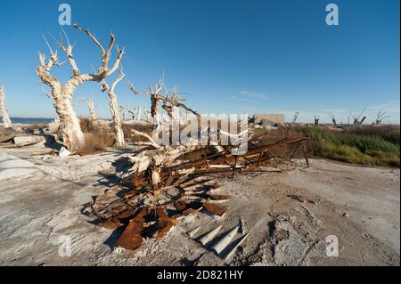 Soudium solfato come fenomeno naturale in Efecuen, provincia di Buenos Aires, Argentina Foto Stock