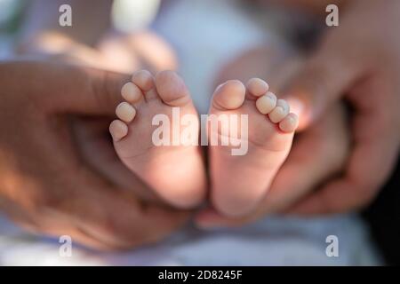 I piedi del neonato nelle mani dei genitori. Fascio solare. Primo piano Foto Stock