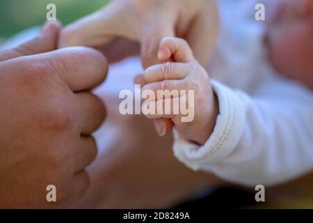 Mani di bambino, madre e padre. All'aperto. Primo piano Foto Stock