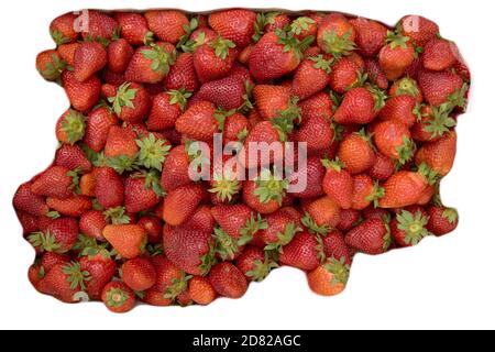 fragola su uno sfondo bianco isolato. Foto Stock