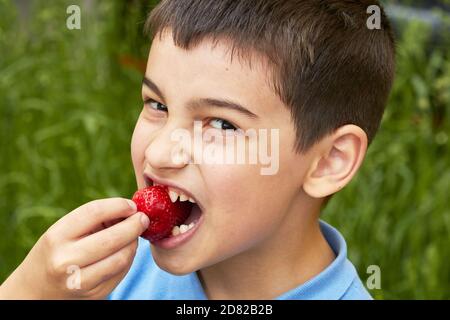 un ragazzino tiene in mano una fragola. Foto Stock