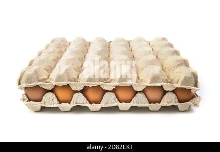 Uova di pollo in una scatola di cartone isolata su bianco. Vista laterale, mercato. Foto Stock