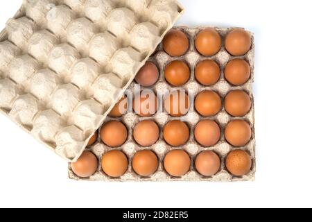 Uova fresche fatte in casa in un vassoio di cartone isolato su bianco. Foto Stock