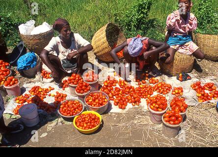 Mercato rurale sulla strada per Cap Haitien, Haiti Foto Stock