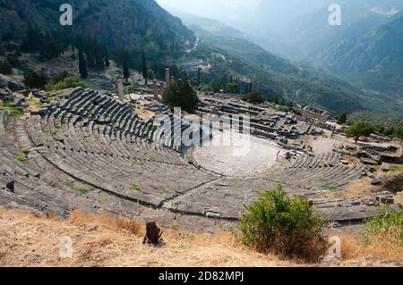 Il teatro di Delfi è costruito più in alto sulla collina dal Tempio di Apollo e ha presentato al pubblico seduto uno spettacolo Foto Stock