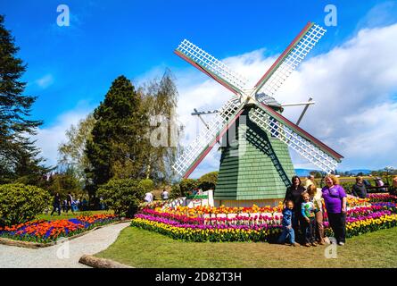 La famiglia scatta foto di fronte al mulino a vento all'interno del giardino Roozengaarde, Washington-USA Foto Stock