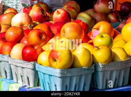 Caduta di mele in molte varietà per la vendita in una fattoria Mercato in Michigan Stati Uniti Foto Stock