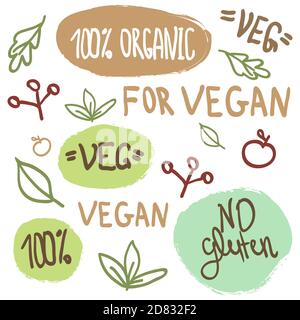 Scritta Vegan disegnata a mano 100% di mela biologica SENZA glutine Foglie Illustrazione Vettoriale