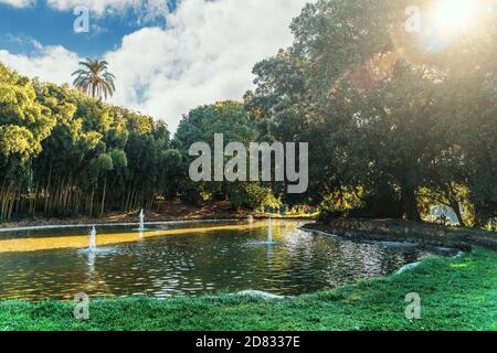 Bellissimo parco verde europeo a Villa Torlonia a Roma, con laghetto, alberi e prati. Foto Stock