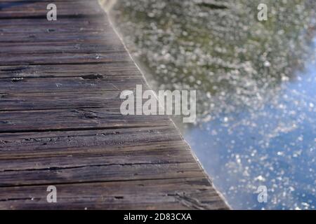 Dow's Lake Boardwalk in una calda mattinata autunnale con un caldo vapore che si erge dal bosco. Ottawa, Ontario, Canada. Foto Stock