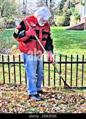 Senior con capelli bianchi e giacca rossa raking foglie dentro Autunno Foto Stock