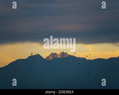 Vancouver, British Columbia, Canada. 26 Ottobre 2020. Il sole che tramonta illumina la vetta della Crown Mountain, una delle North Shore Mountains di Vancouver. Credit: Bayne Stanley/ZUMA Wire/Alamy Live News Foto Stock