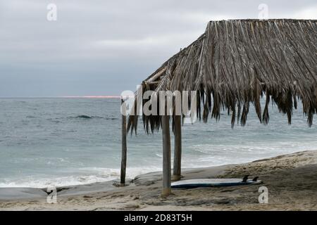 Il simbolo Windansea Surf Shack è un palmo coperto che fu originariamente costruito nel 1946 Foto Stock